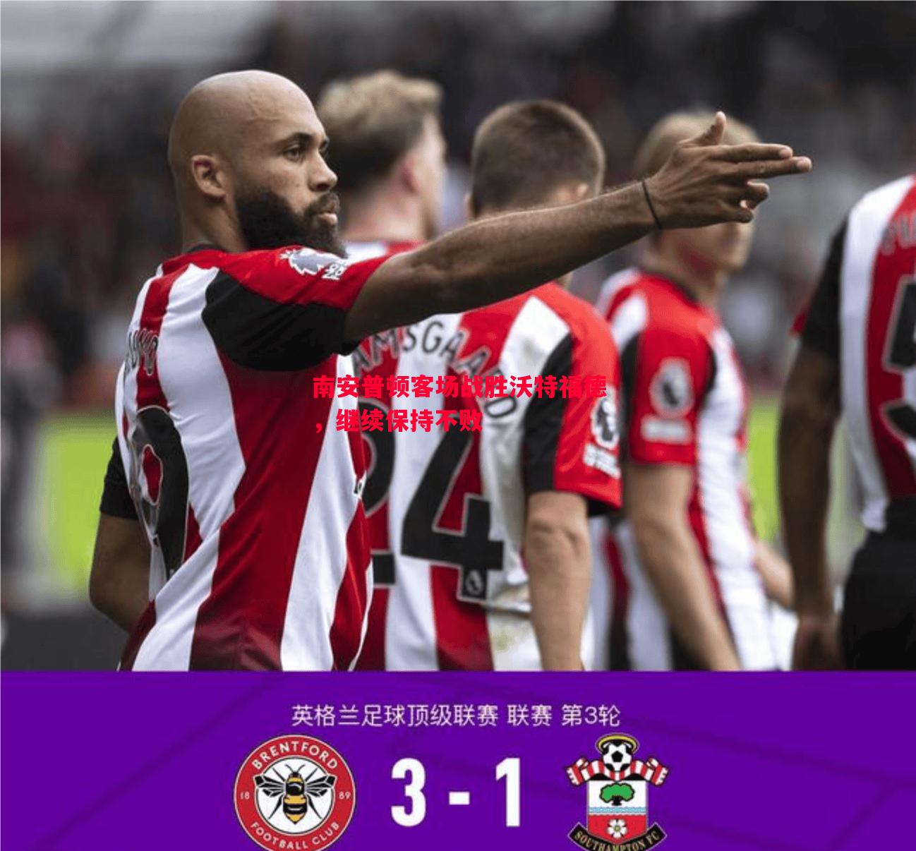 南安普顿客场战胜沃特福德,继续保持不败 南安普顿客场战胜沃特福德,继续保持不败