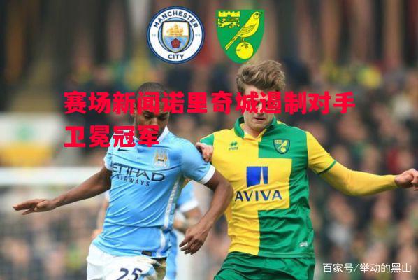 FB体育官方网站-赛场新闻诺里奇城遏制对手卫冕冠军