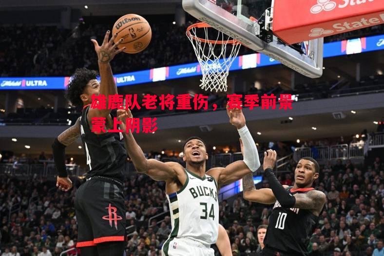 雄鹿队老将重伤，赛季前景蒙上阴影